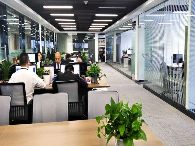 广州质量品牌轴承skf价格