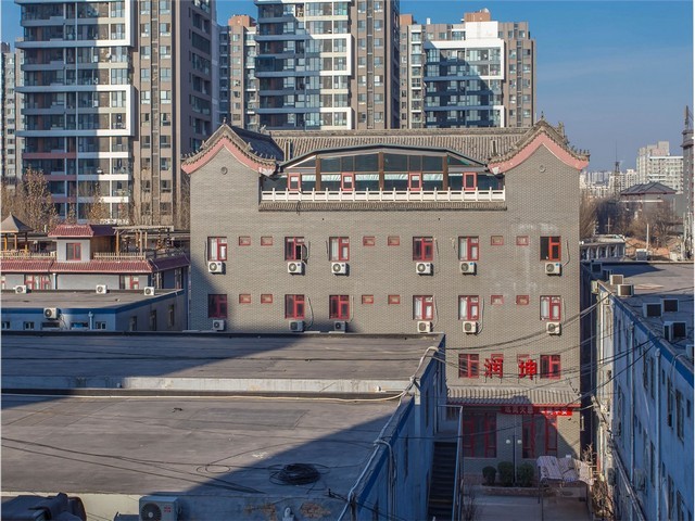 水培绿化树季节